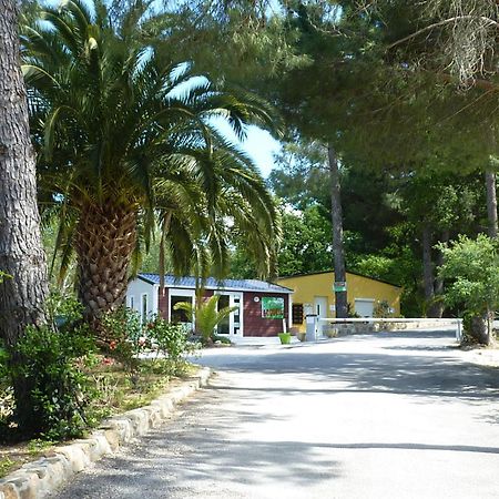Camping Des Alberes Laroque-des-Albères Eksteriør billede