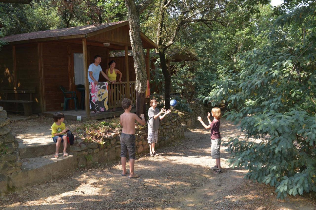 Camping Des Alberes Laroque-des-Albères Eksteriør billede