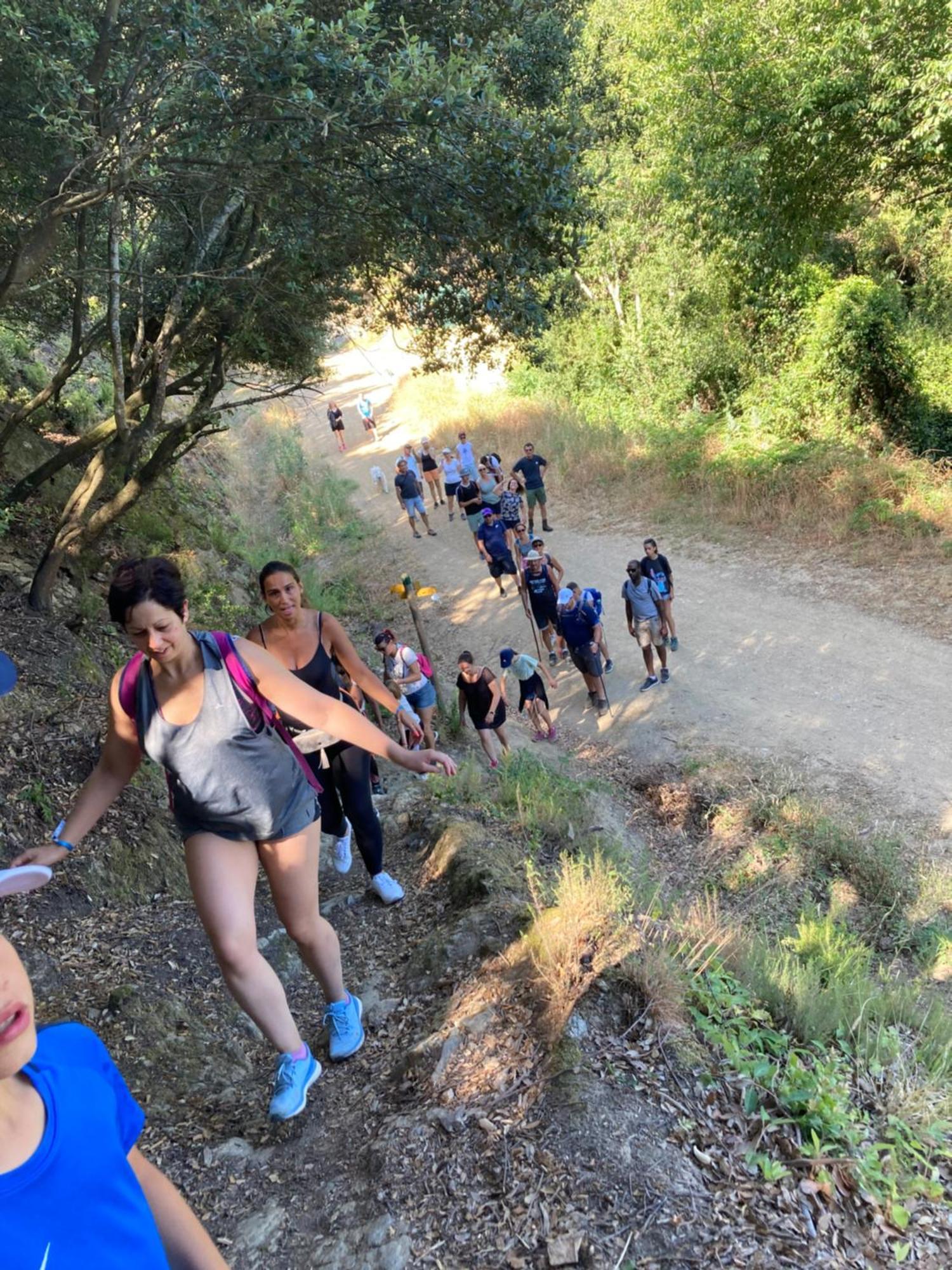 Camping Des Alberes Laroque-des-Albères Eksteriør billede